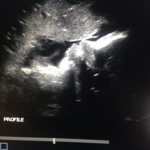 Meet your Posher, Sonia